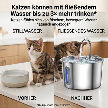 Fellzeit™ 2,2L Edelstahl-Trinkbrunnen